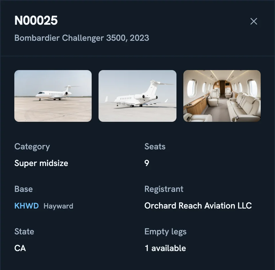 The aircraft panel in demo mode: photographs of one jet with its category, seats, base, and registrant